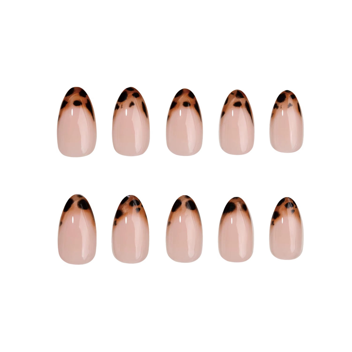 Tortoiseshell French Almond press-on nails